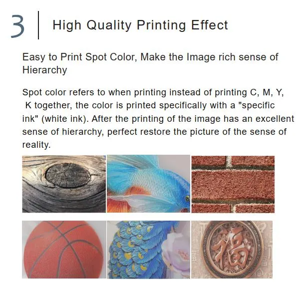 8 Color Glass Printing Machine with Ricoh Gen5 Gen6 Printheads
