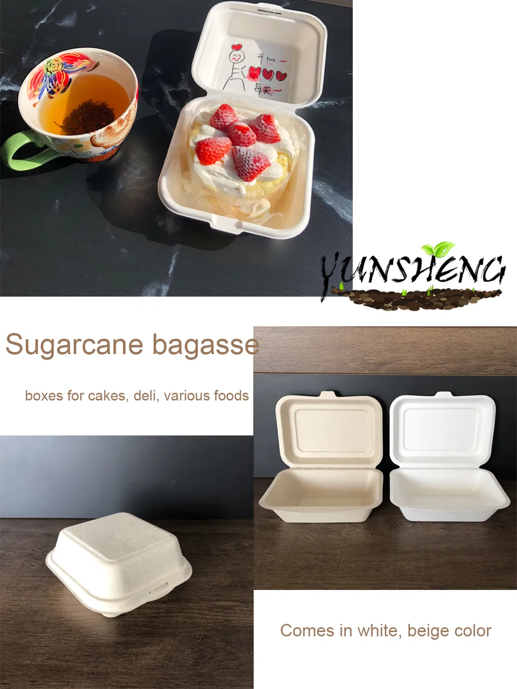 Biodegradable 6X6 Take out Food Containers with Clamshell Hinged Lid Microwaveable Disposable Takeout Box Great for Restaurant Carryout or Party Take Home Boxes