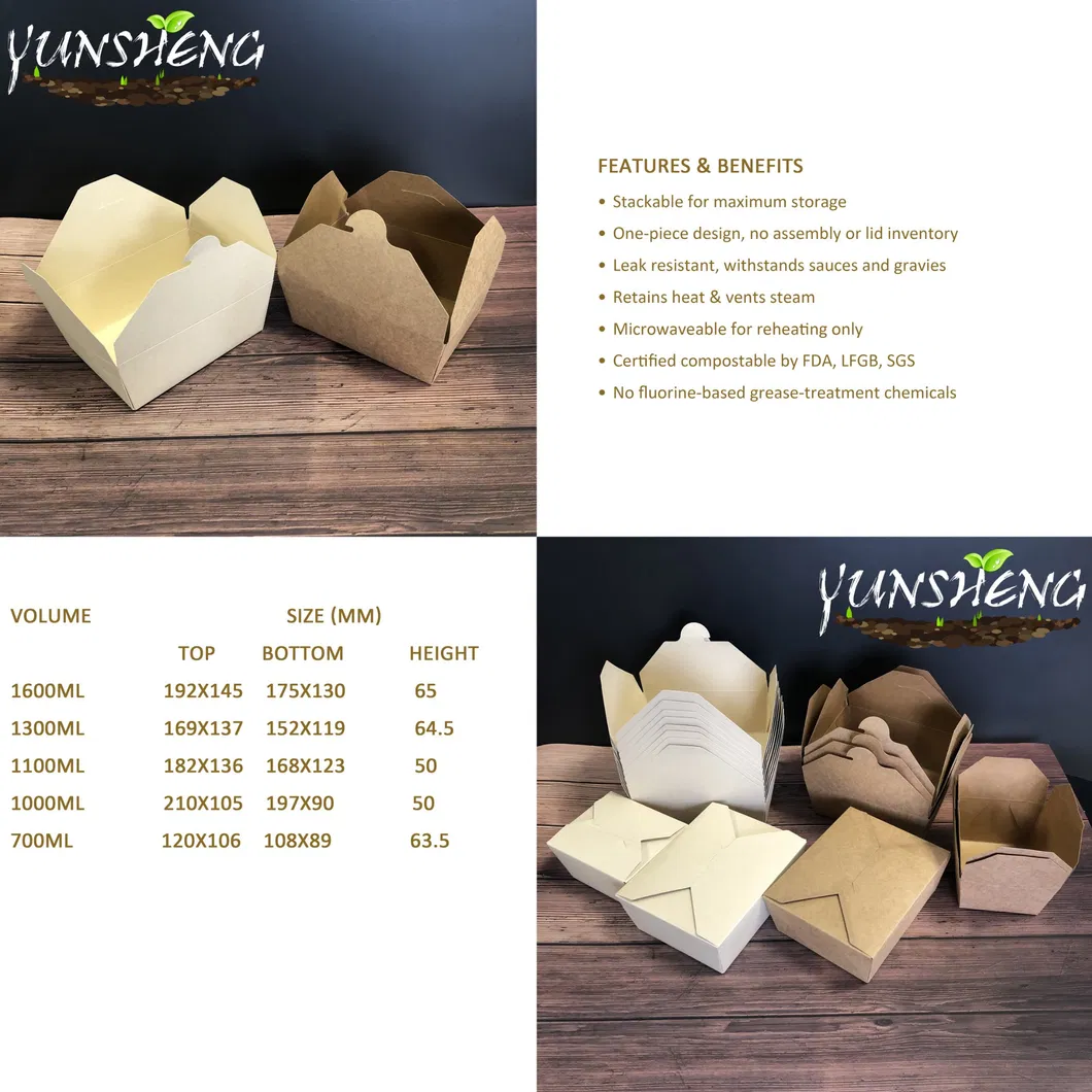 Biodegradable 6X6 Take out Food Containers with Clamshell Hinged Lid Microwaveable Disposable Takeout Box Great for Restaurant Carryout or Party Take Home Boxes