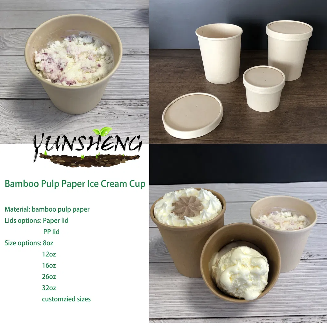 Biodegradable 6X6 Take out Food Containers with Clamshell Hinged Lid Microwaveable Disposable Takeout Box Great for Restaurant Carryout or Party Take Home Boxes