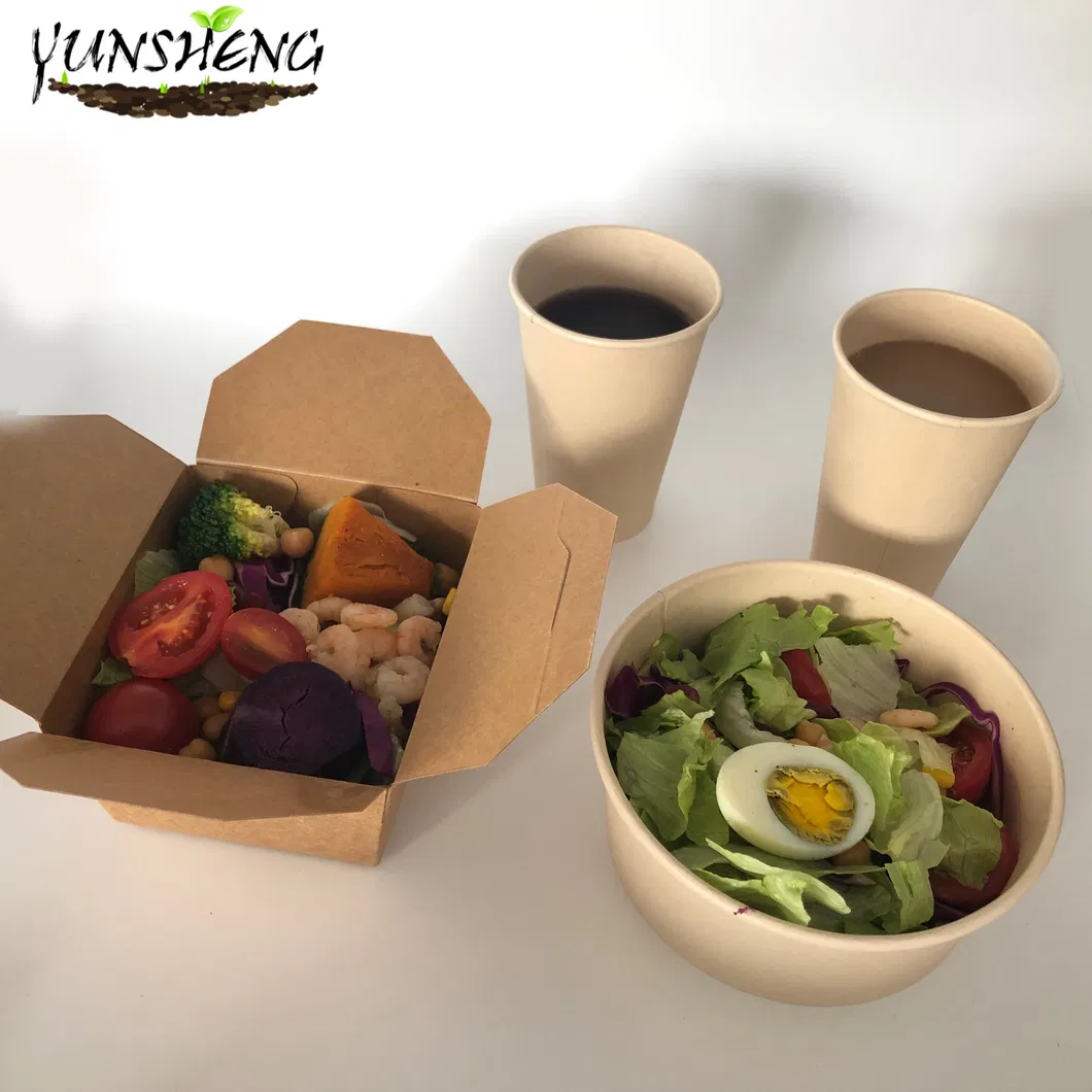Biodegradable 6X6 Take out Food Containers with Clamshell Hinged Lid Microwaveable Disposable Takeout Box Great for Restaurant Carryout or Party Take Home Boxes
