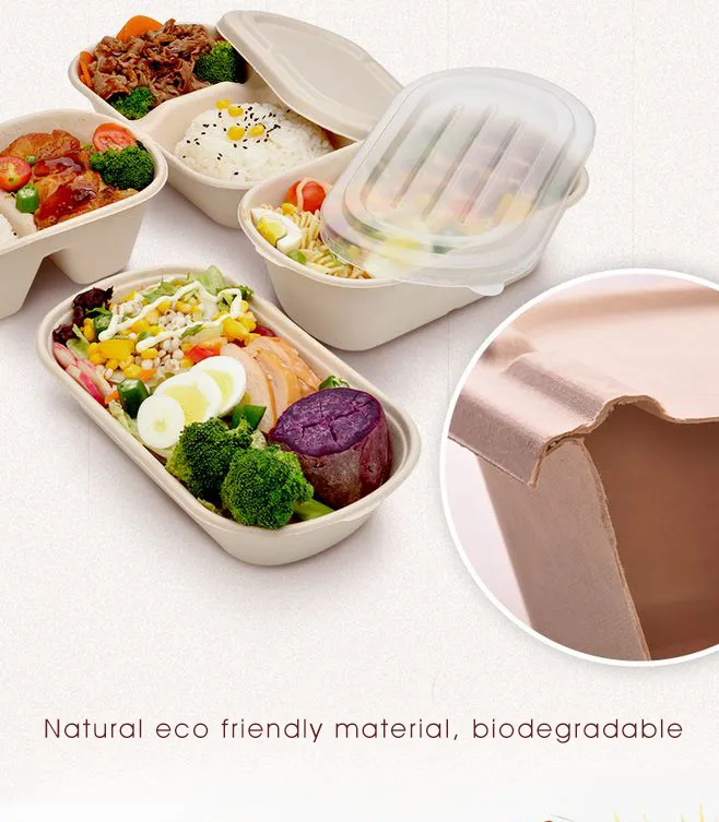 Biodegradable 6X6 Take out Food Containers with Clamshell Hinged Lid Microwaveable Disposable Takeout Box Great for Restaurant Carryout or Party Take Home Boxes