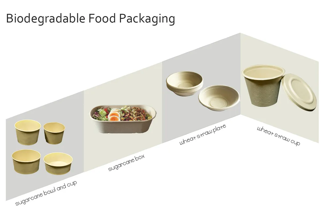 Biodegradable 6X6 Take out Food Containers with Clamshell Hinged Lid Microwaveable Disposable Takeout Box Great for Restaurant Carryout or Party Take Home Boxes