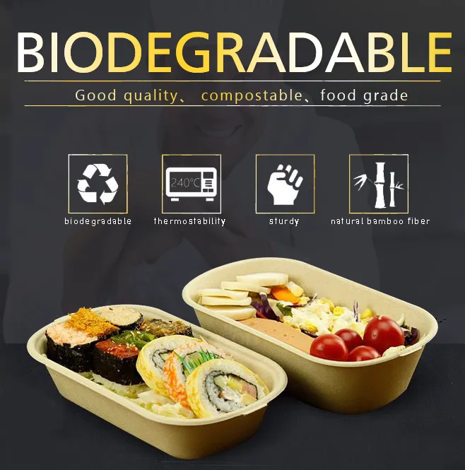Biodegradable 6X6 Take out Food Containers with Clamshell Hinged Lid Microwaveable Disposable Takeout Box Great for Restaurant Carryout or Party Take Home Boxes