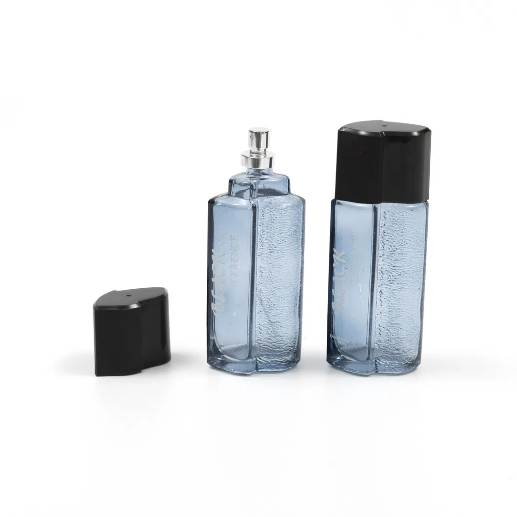 Empty Glass Perfume Bottle Bouteille Parfum 100ml 3oz Personalised French Perfume Packaging Mist Spray Bottle
