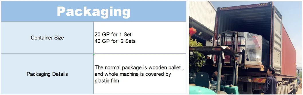 Two Lines Servo Motor Control Hot Cutting PLC Computer Control Biodegradable Packing T-Shirt Supermarket HDPE LDPE Bag Making Machine